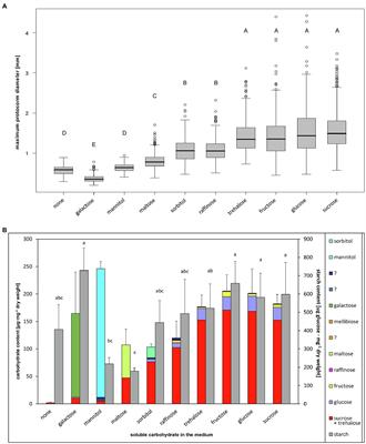 Integrative Study Supports the Role of Trehalose in Carbon Transfer From Fungi to Mycotrophic Orchid